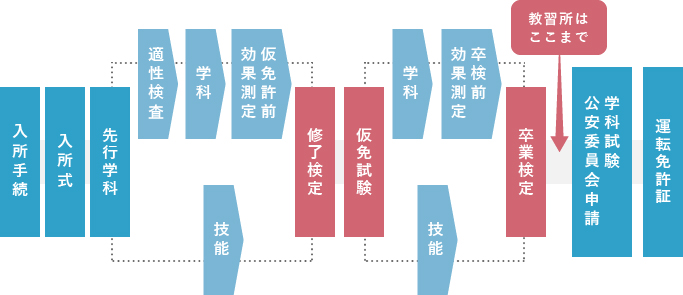 普通車免許取得の流れ